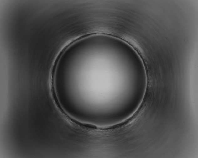 X0000095131040200712141152