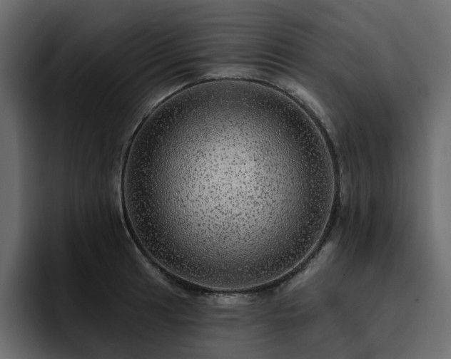 X0000095131041200712141152