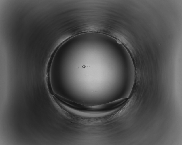 X0000095131042200712141152