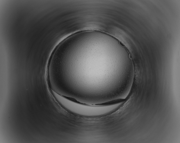 X0000095131044200712141152