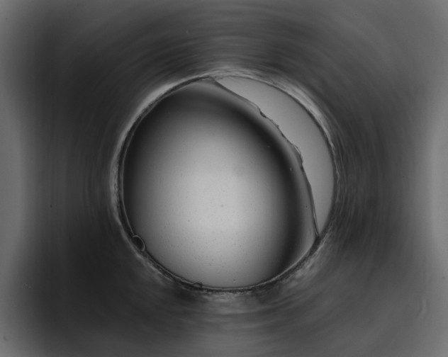 X0000095131048200712141152