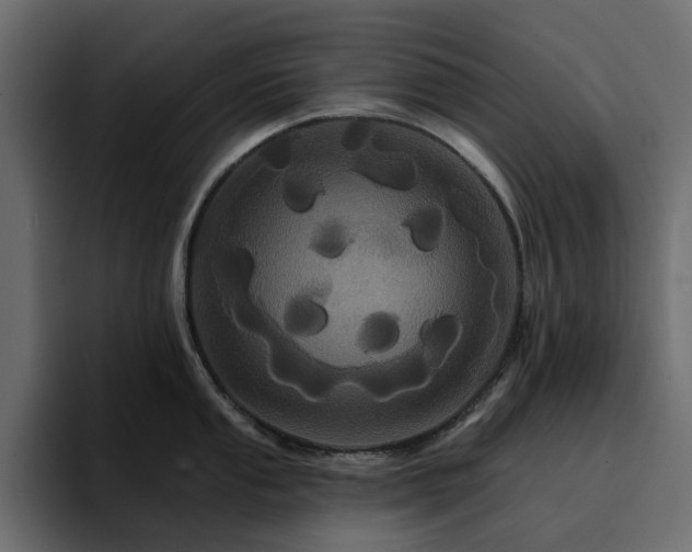 X0000095131053200712141152