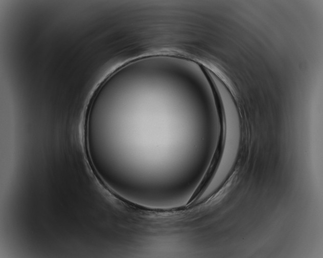 X0000095131054200712141152