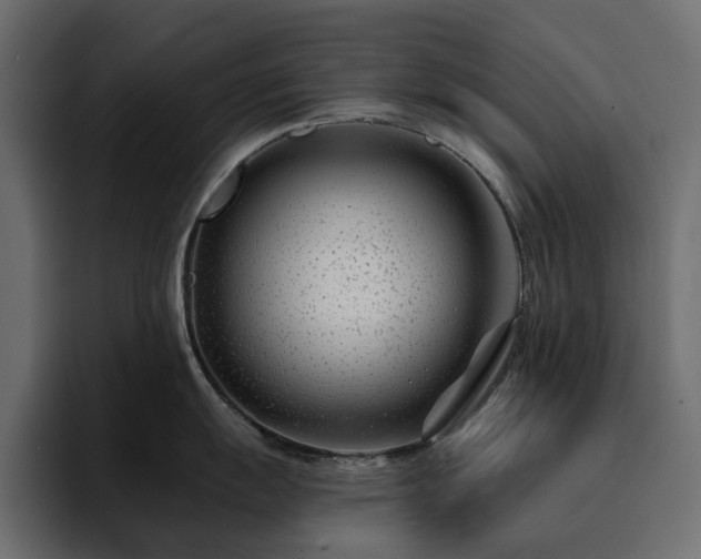 X0000095131055200712141152