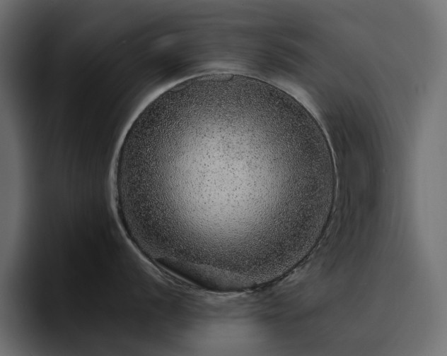 X0000095131056200712141152