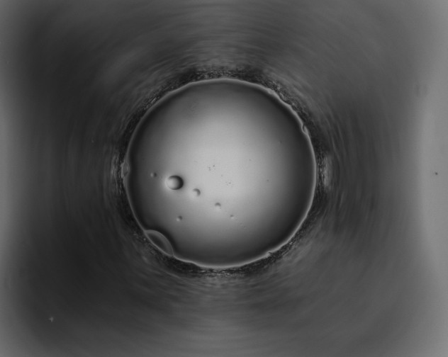 X0000095131059200712141152