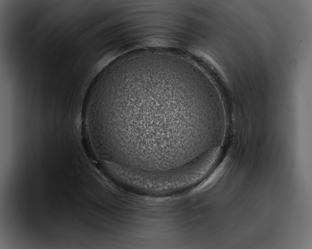 X0000095131065200712141152