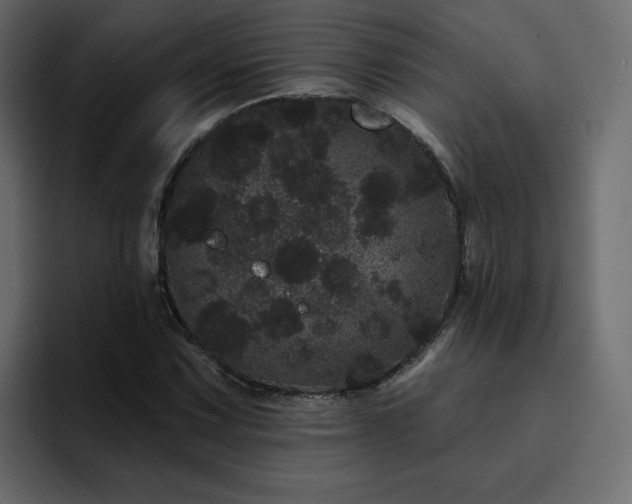 X0000095131067200712141152