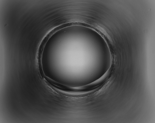 X0000095131068200712141152