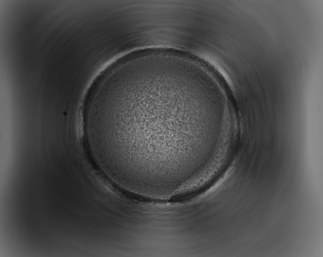 X0000095131069200712141152