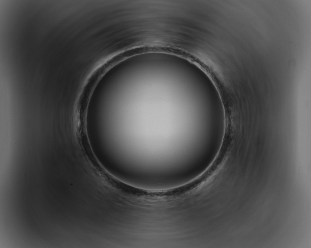 X0000095131070200712141152