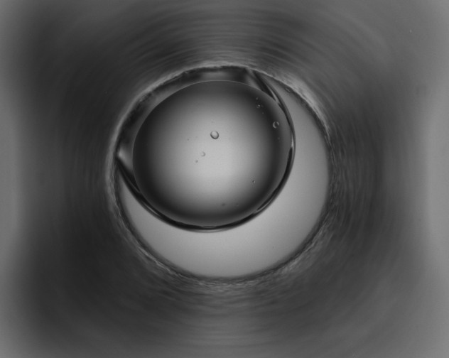 X0000095131072200712141152