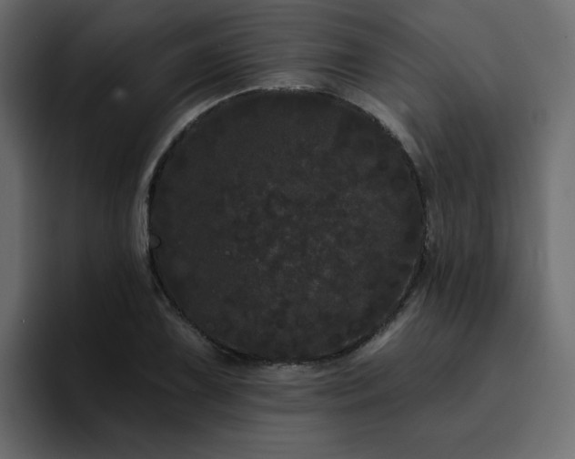 X0000095131075200712141152