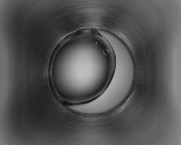 X0000095131081200712141152