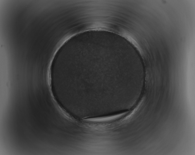 X0000095131082200712141152