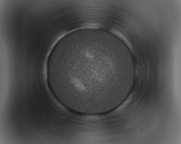 X0000095131083200712141152