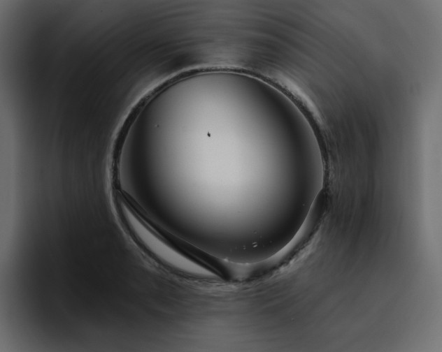 X0000095131085200712141151