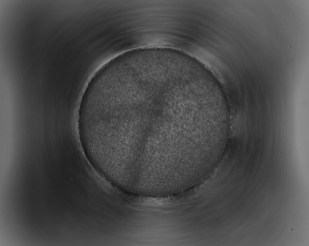 X0000095131086200712141151