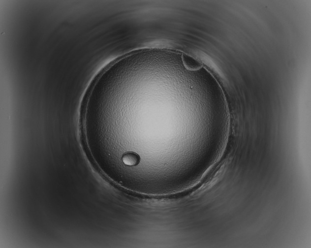 X0000095131087200712141151