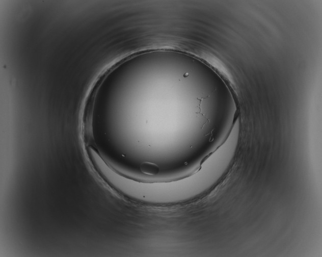 X0000095131088200712141151