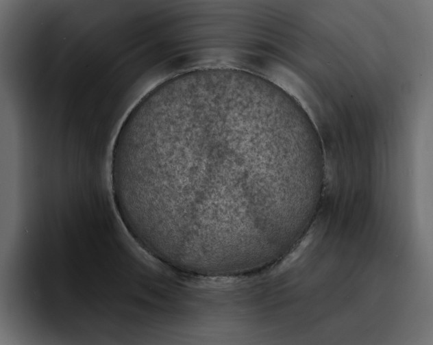 X0000095131090200712141151