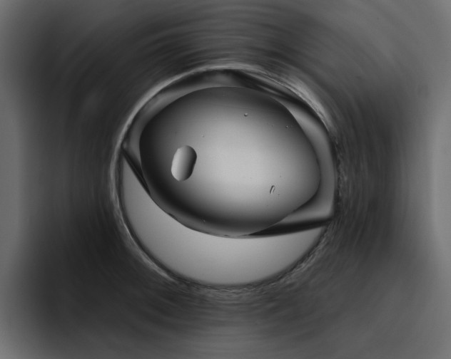 X0000095131092200712141151