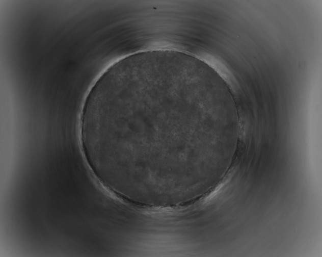 X0000095131094200712141151