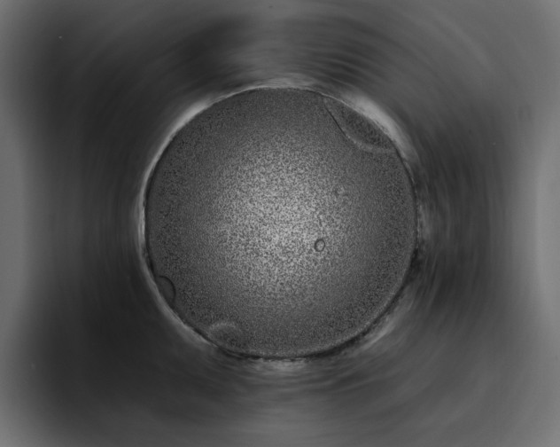 X0000095131095200712141151