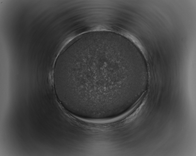 X0000095131097200712141151