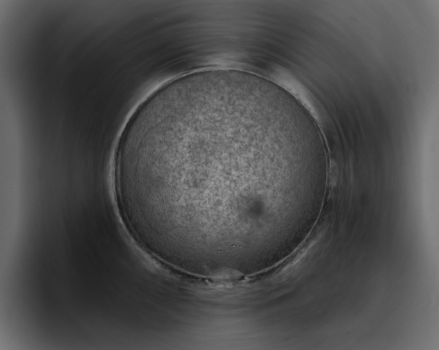 X0000095131098200712141151