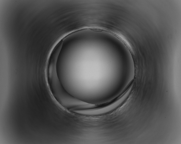 X0000095131100200712141151