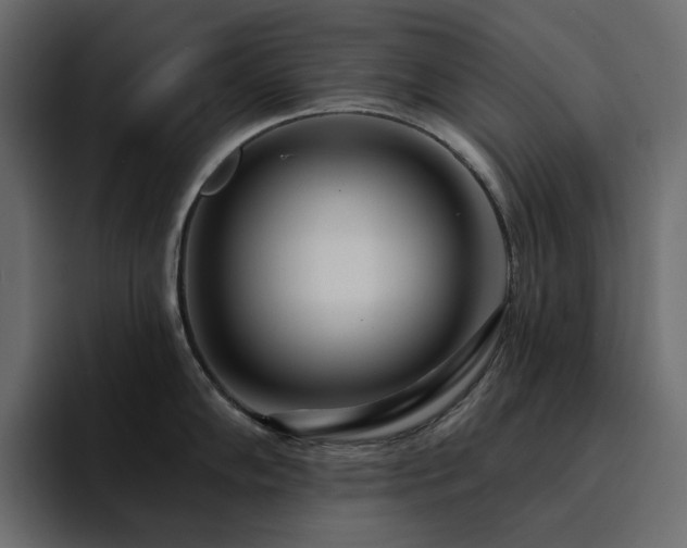 X0000095131102200712141151