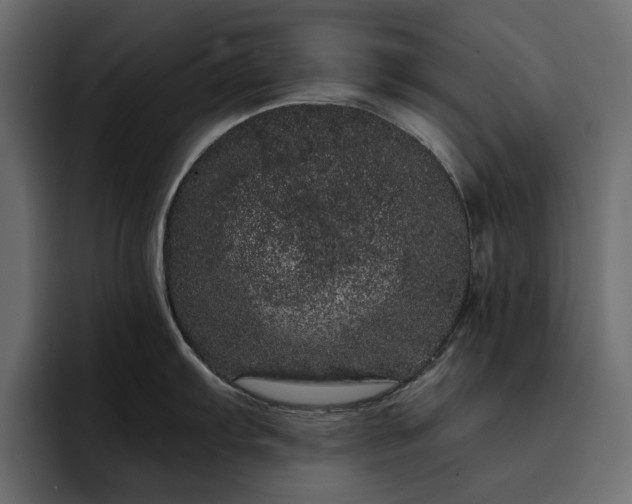 X0000095131103200712141151