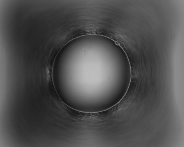 X0000095131106200712141151