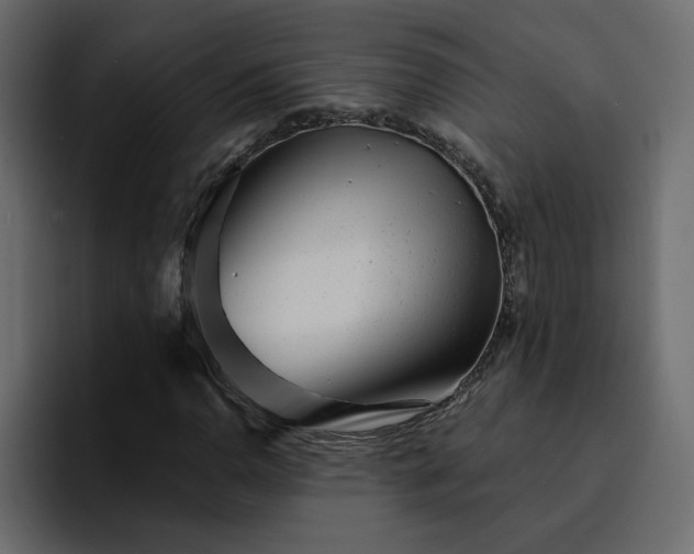 X0000095131110200712141151