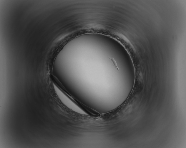 X0000095131112200712141151