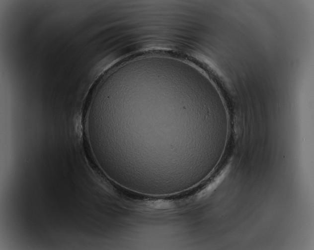 X0000095131113200712141151