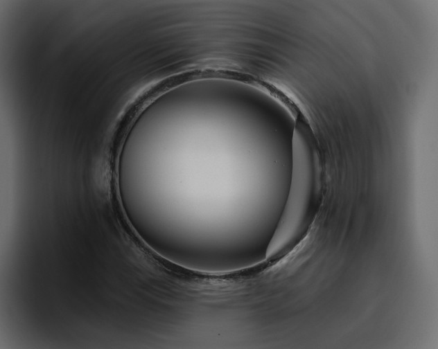 X0000095131115200712141151