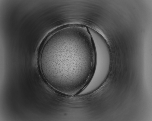 X0000095131116200712141151