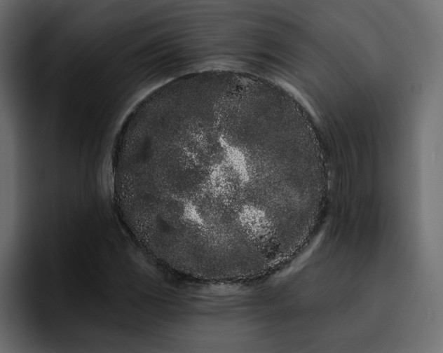 X0000095131117200712141151