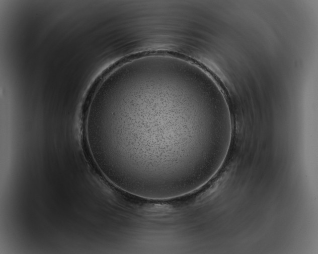 X0000095131119200712141151