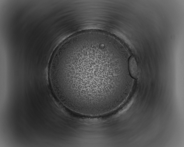 X0000095131121200712141151