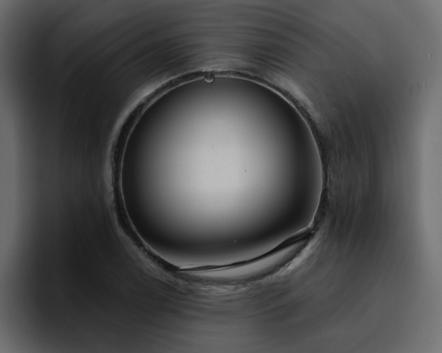 X0000095131122200712141151