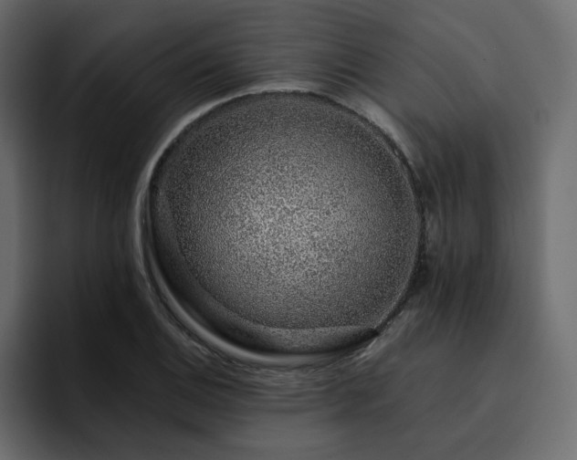 X0000095131124200712141151