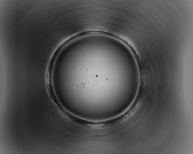 X0000095131125200712141151