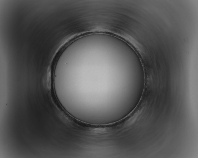 X0000095131126200712141151