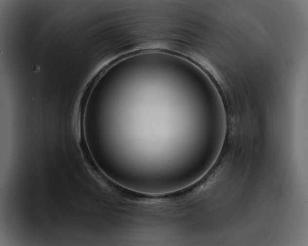 X0000095131127200712141151