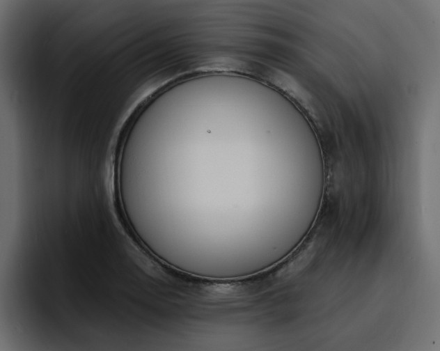 X0000095131130200712141151