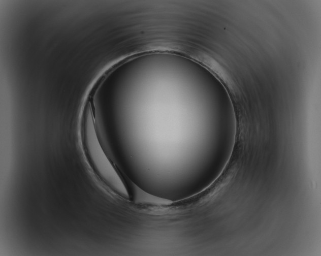 X0000095131132200712141151