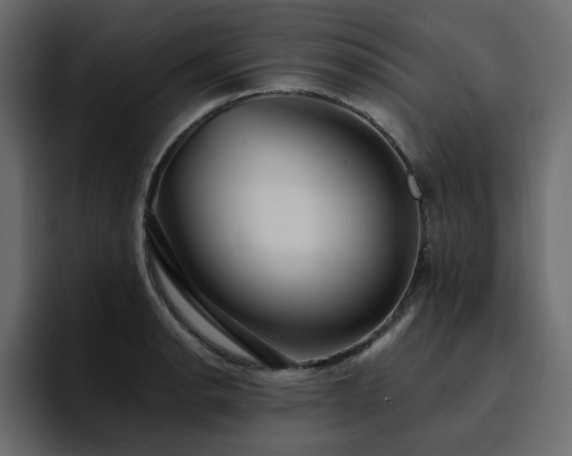 X0000095131134200712141151